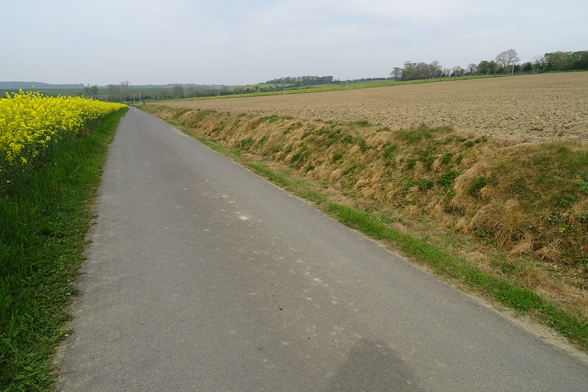 Destruction ordinaire des habitats-corridors