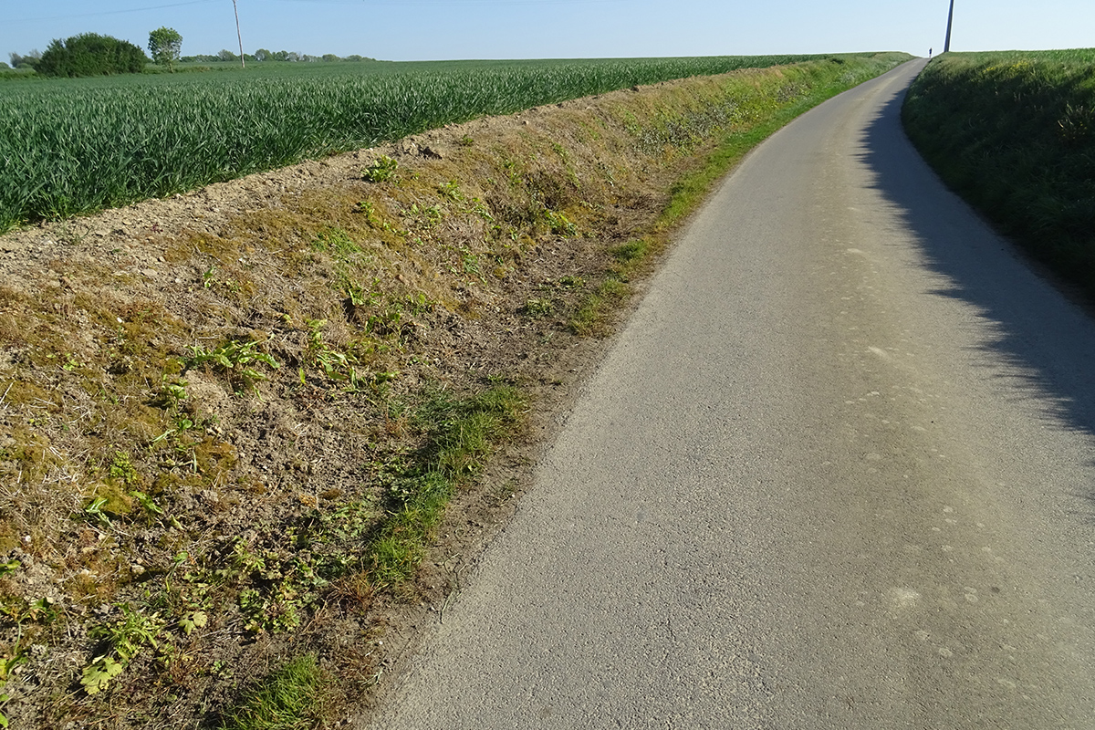 Destruction ordinaire des habitats-corridors