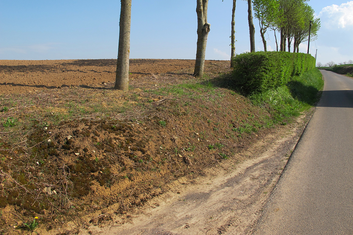 Destruction ordinaire des habitats-corridors