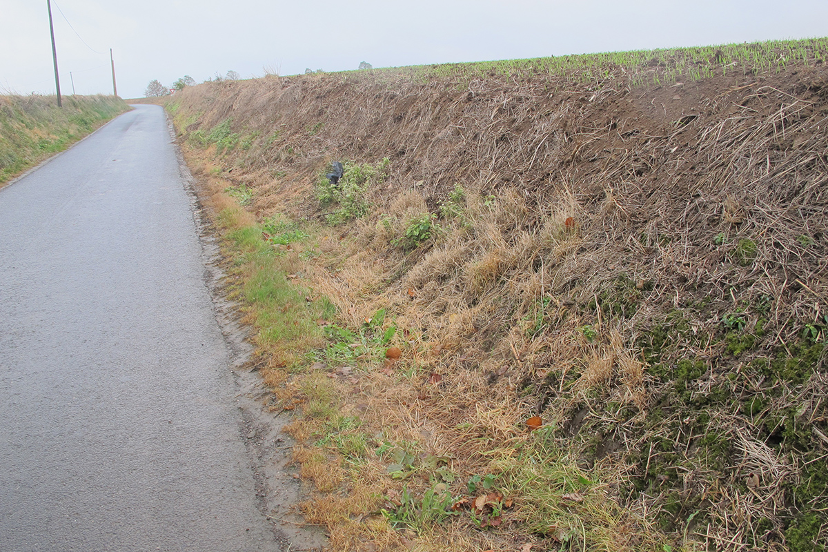 Destruction ordinaire des habitats-corridors