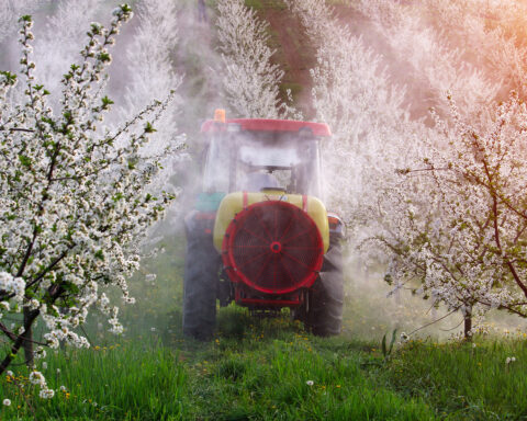 Tracteur pulvérisant des pesticides. Photo : ©Adobe Stock