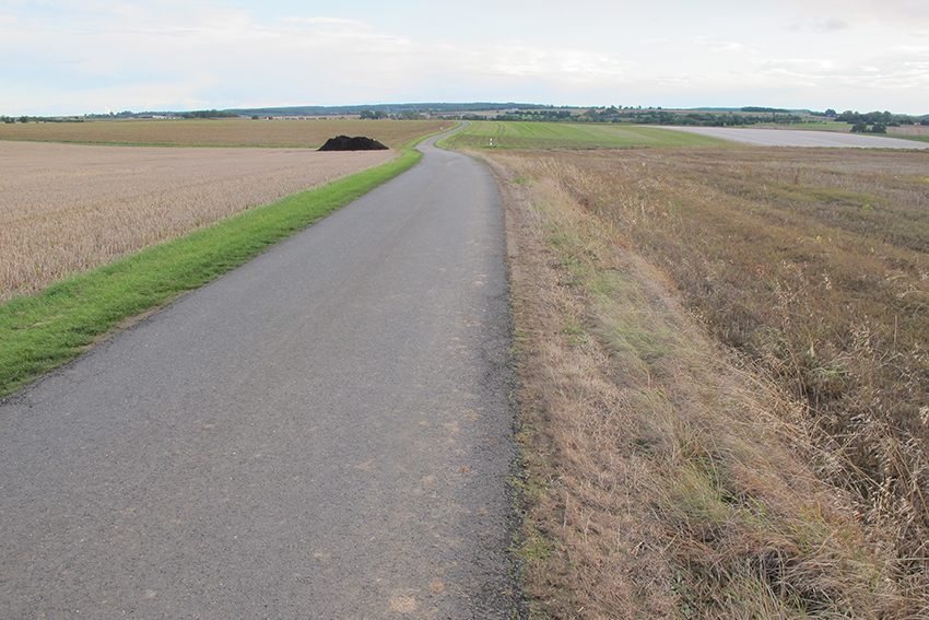 3. 4. 5. 6. Bords de champs arrosés d’herbicide en septembre par des agriculteurs, après les moissons. 