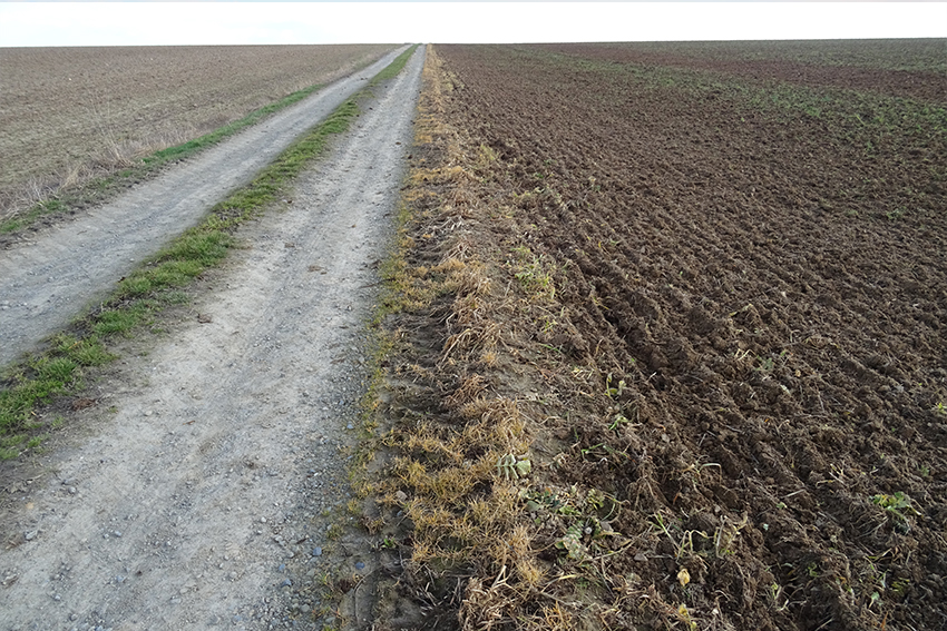 3. 4. 5. 6. Bords de champs arrosés d’herbicide en septembre par des agriculteurs, après les moissons. 