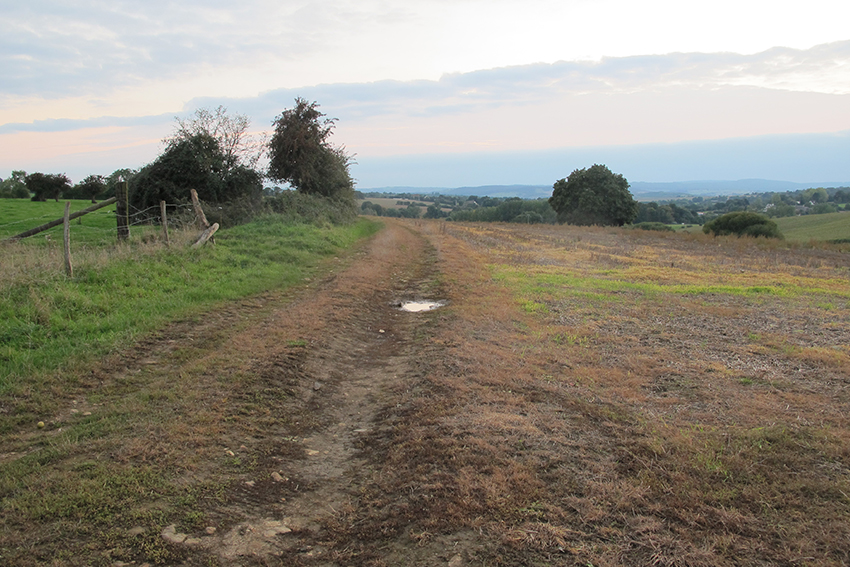 3. 4. 5. 6. Bords de champs arrosés d’herbicide en septembre par des agriculteurs, après les moissons. 