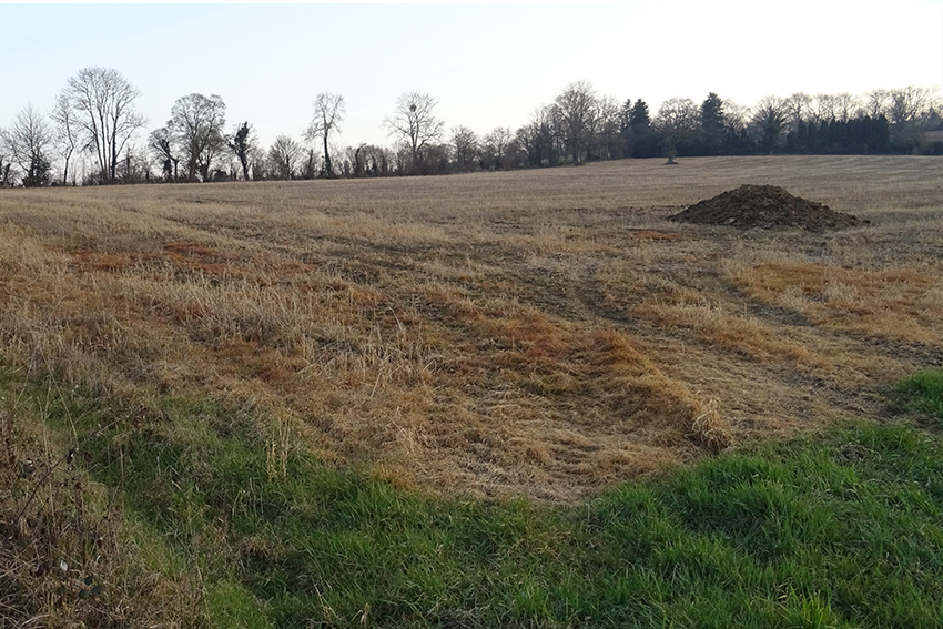 7. Champ bordé de haies traité à l’herbicide en février-mars. Des études montrent que « les habitats non traités tels les champs biologiques, les haies ou prairies permanentes » supposés favoriser la biodiversité « pourraient agir comme des pièges écologiques et nuire aux animaux qui y vivent en les exposant aux mélanges de pesticides à des concentrations relativement élevées. »