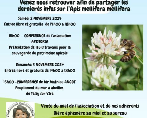 ANM - FETE DU MIEL ABEILLE NOIRE 2024