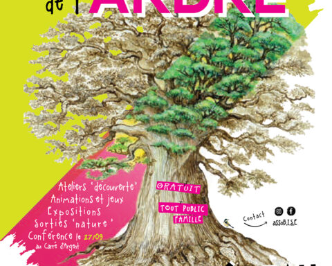 Affiche festival de l'arbre