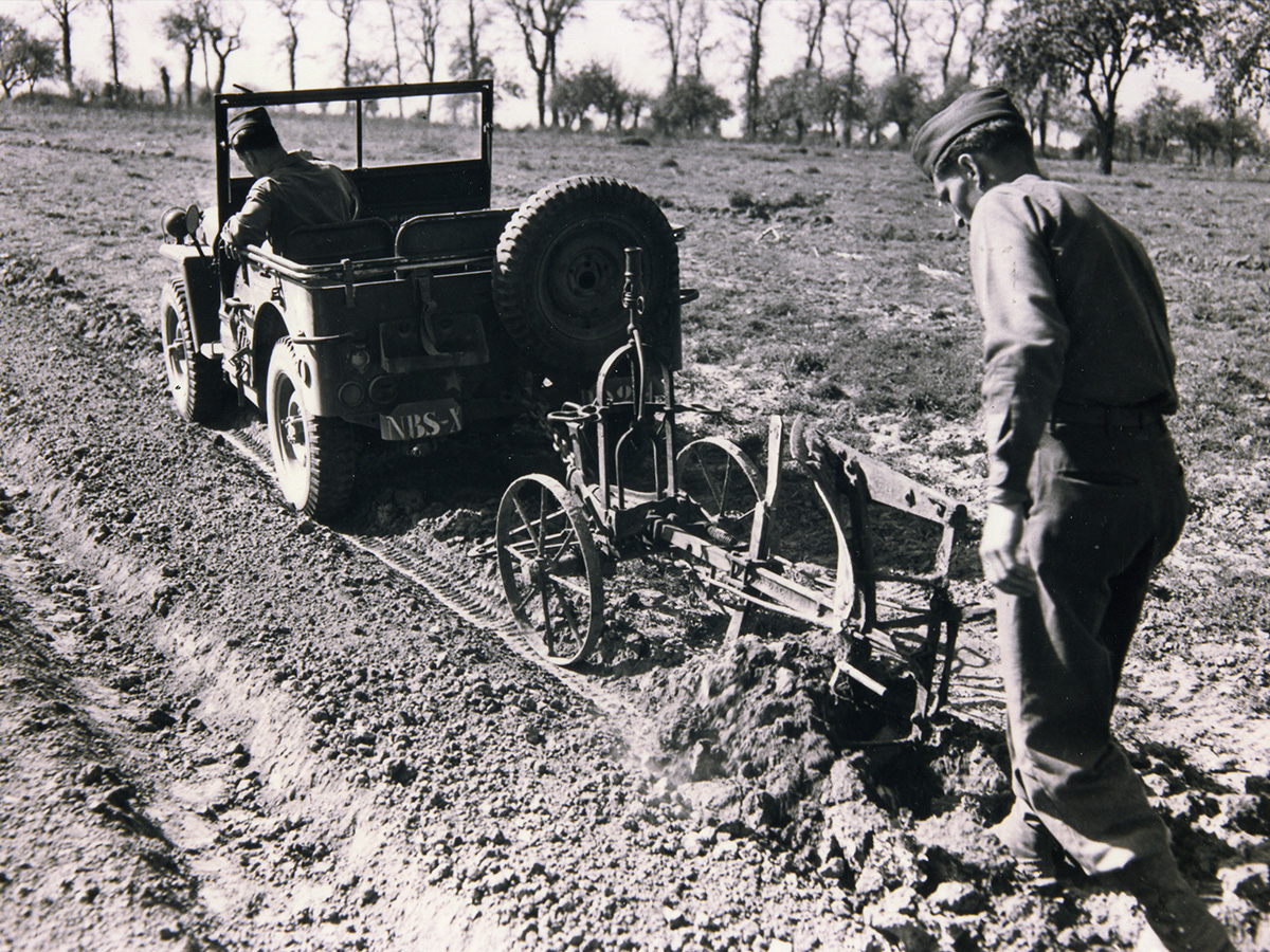 Vie et mort des paysages. Agriculture intensive et abeilles sauvages. Part. 3