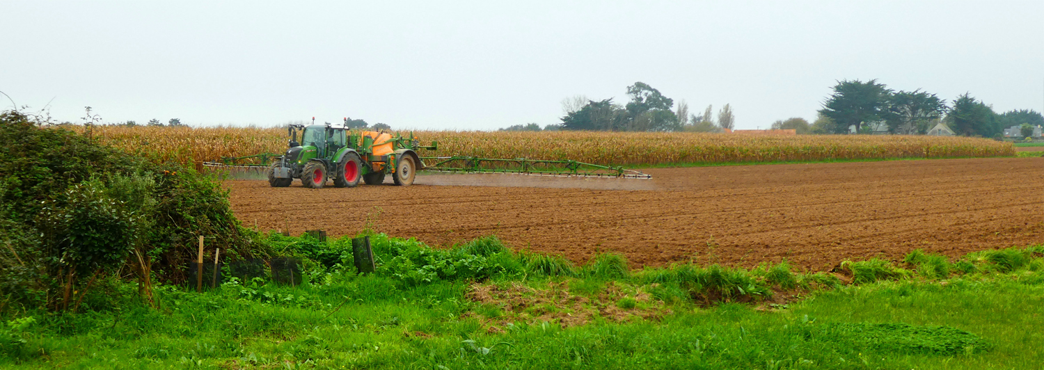 Vie et mort des paysages. Agriculture intensive et abeilles sauvages. Part. 3