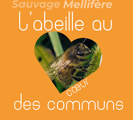 Sacrées abeilles 2025